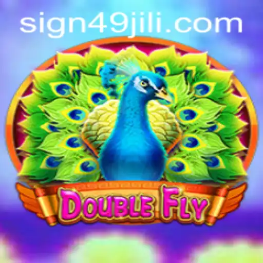 DoubleFly: An Exciting Journey in Online Gaming